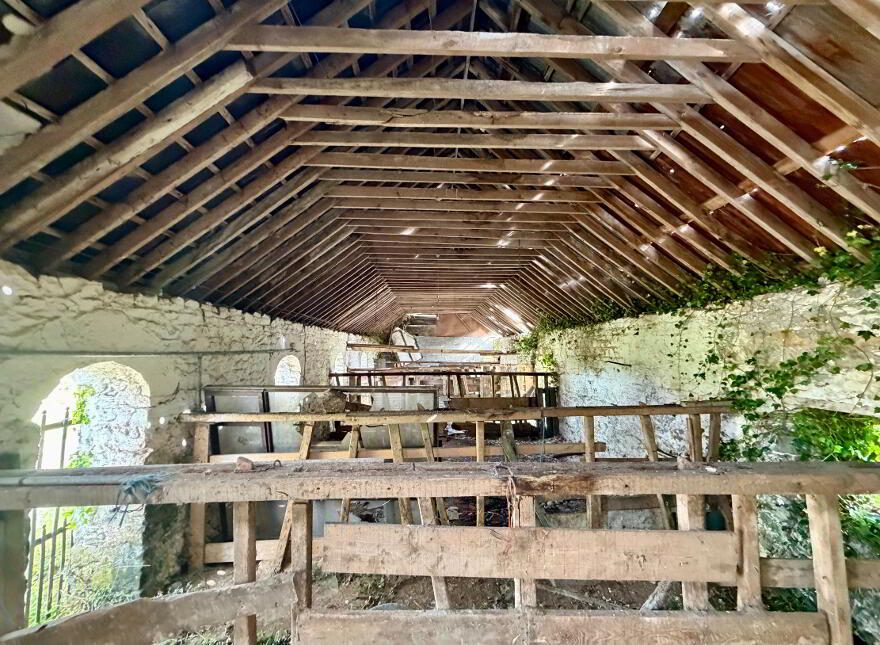 Deerpark, Charleville, P56Y938