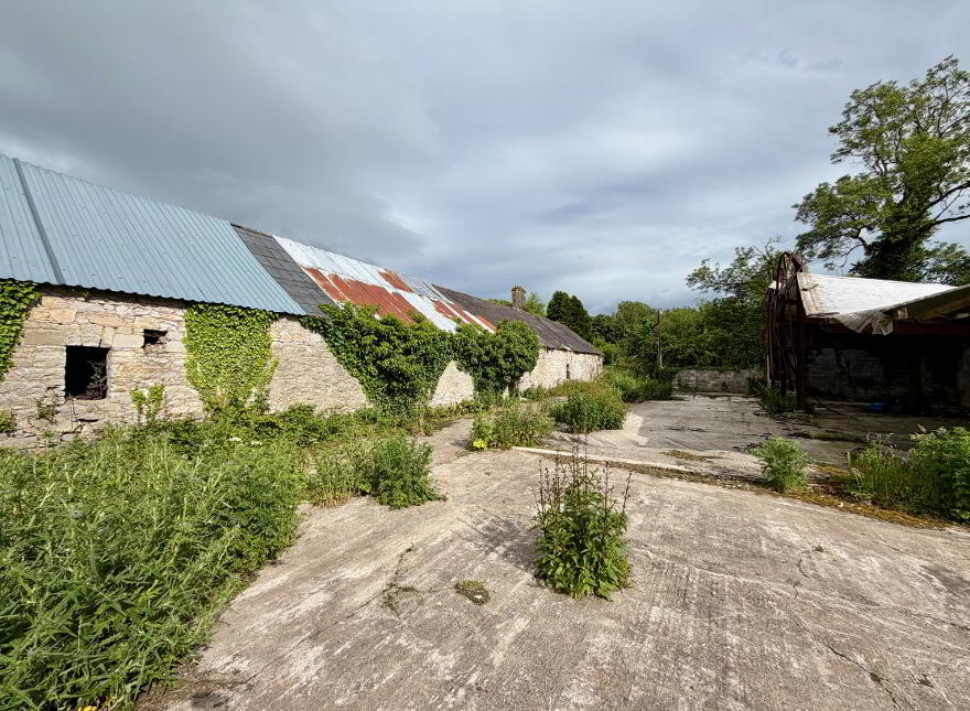 Deerpark, Charleville, P56Y938