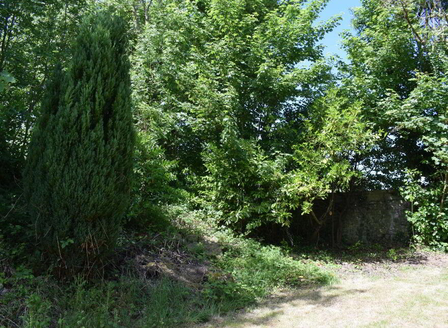 Thatched Cottage, Roveagh, Kilcolgan, H91WEP9