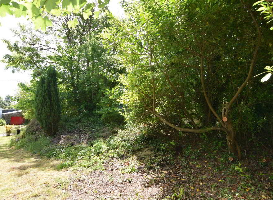 Thatched Cottage, Roveagh, Kilcolgan, H91WEP9