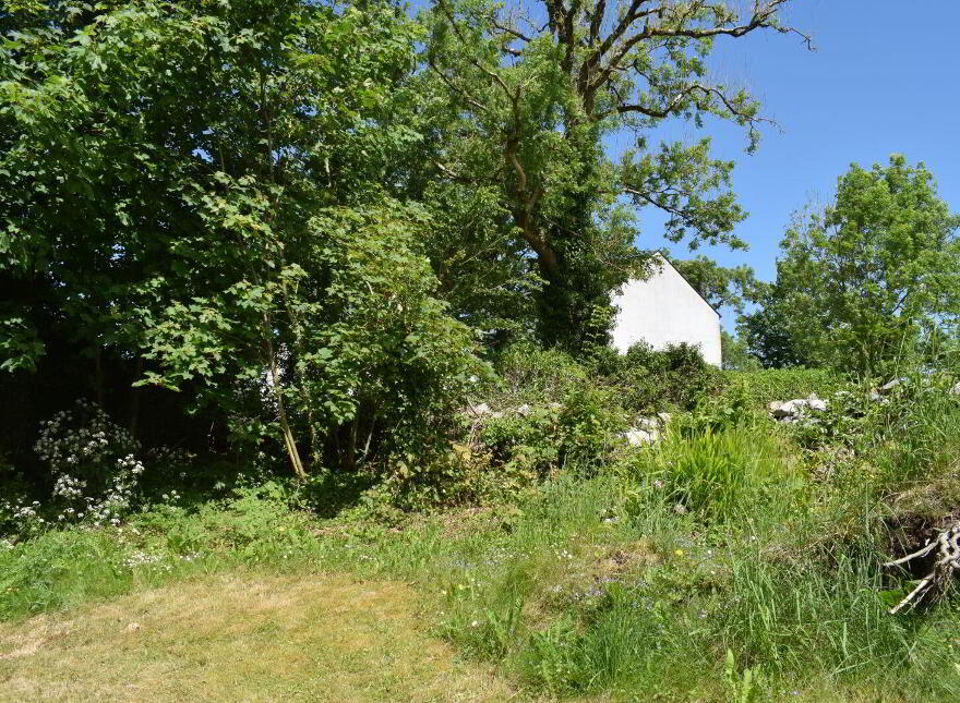 Thatched Cottage, Roveagh, Kilcolgan, H91WEP9