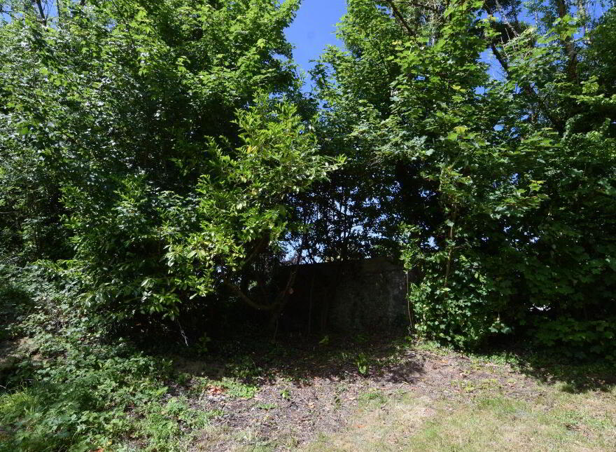 Thatched Cottage, Roveagh, Kilcolgan, H91WEP9