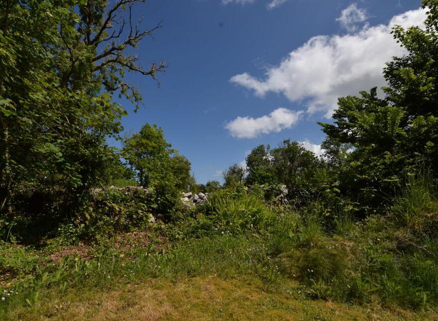 Thatched Cottage, Roveagh, Kilcolgan, H91WEP9
