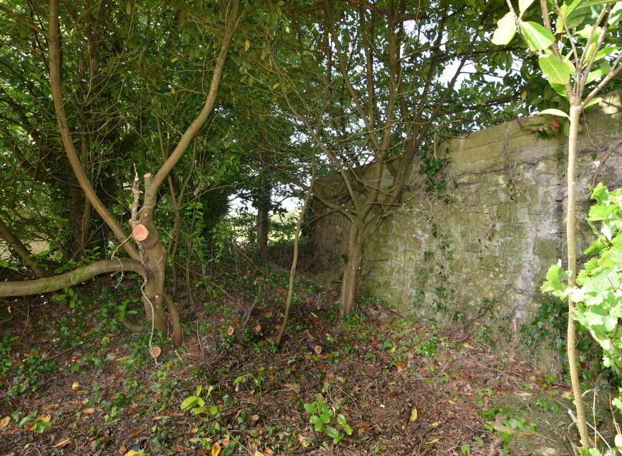 Thatched Cottage, Roveagh, Kilcolgan, H91WEP9