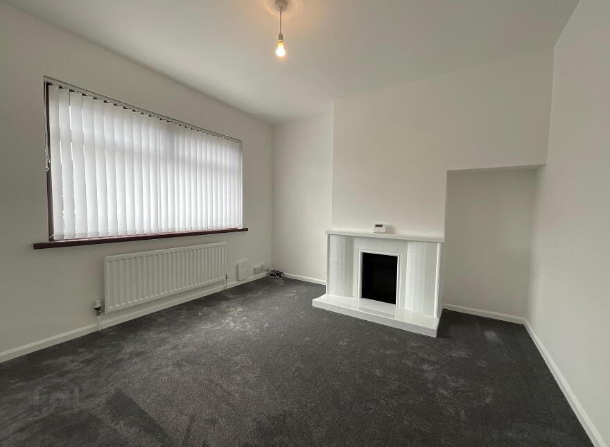 19 Springvale Park, Belfast, BT14 8DD
