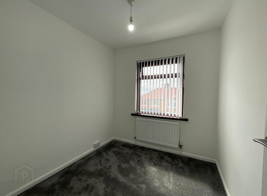 19 Springvale Park, Belfast, BT14 8DD