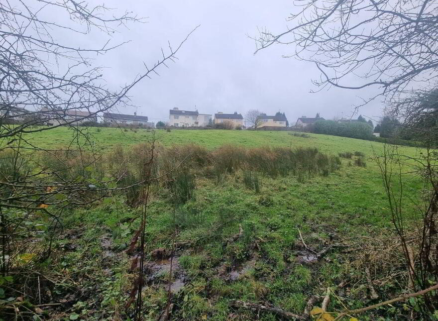 C.10 6acres Zoned Industry/Enterprise/Employment Lands, Monaghan