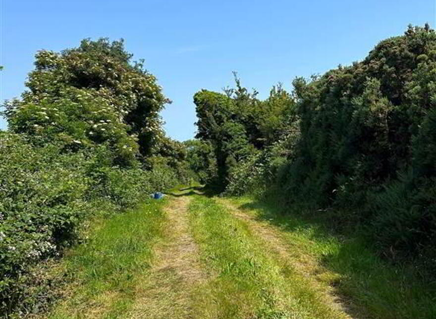 Superb Building Site , Adjacent To, 16 Lisbane Road, Lisbane, Comber, BT23 6AE