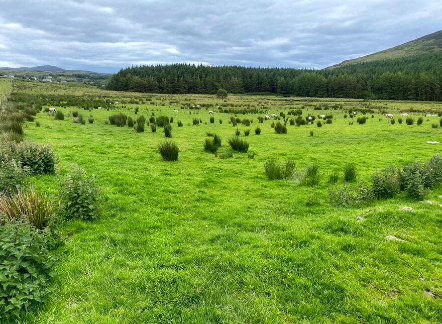 Clogher, Carrick