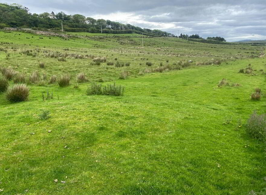 Clogher, Carrick
