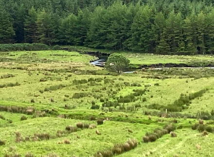 Clogher, Carrick