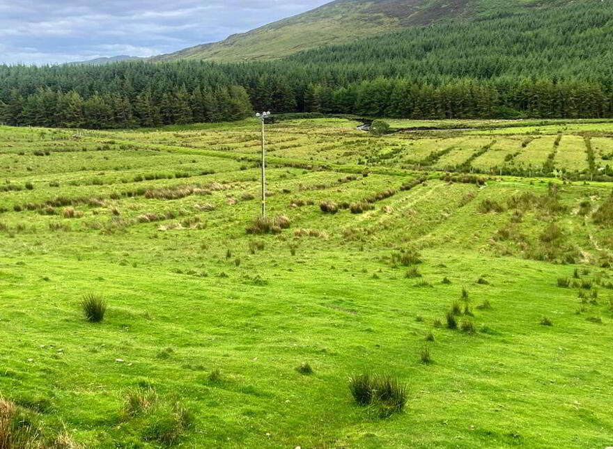 Clogher, Carrick