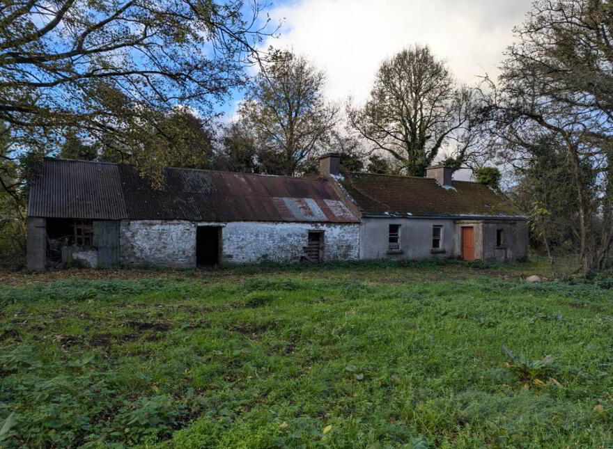 1, Derelict Cottage, Oldcastle photo