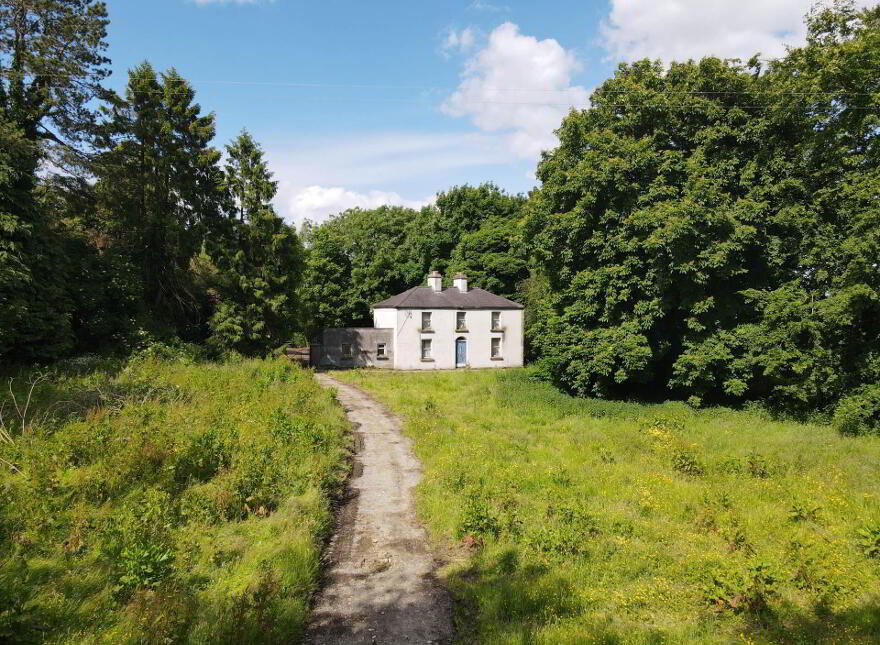 3, Derelict House, Cavan, Cavan Town