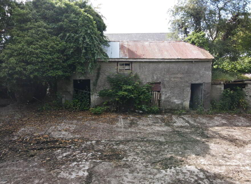 3, Derelict House, Cavan, Cavan Town