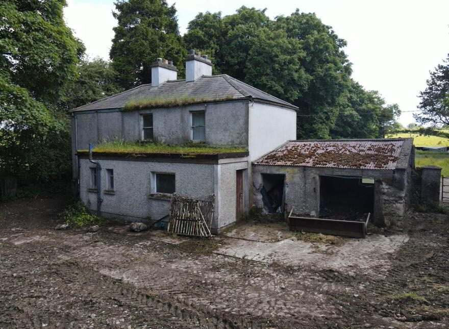 3, Derelict House, Cavan, Cavan Town