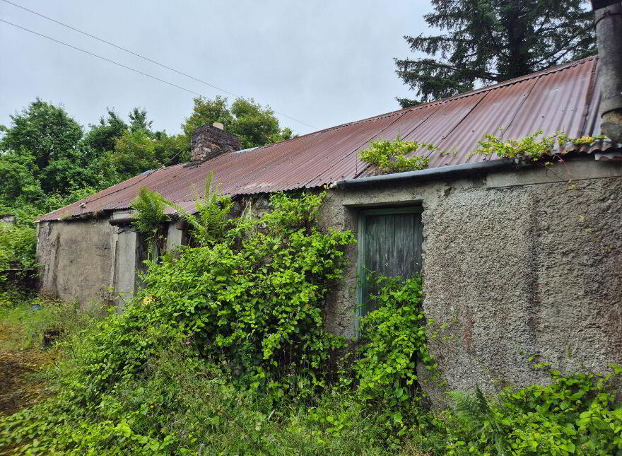 Carga, Culloville, Inniskeen, A75PD79