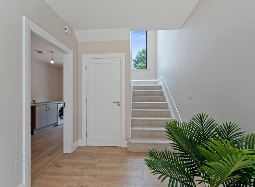 Boardee, Carrigaline, P43FT63
