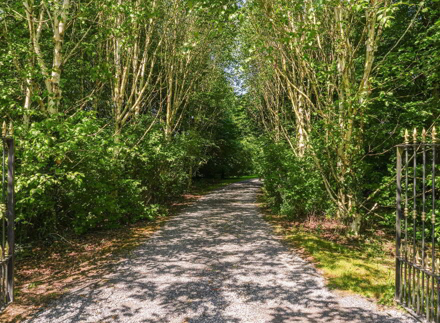 Baltrasna, Oldcastle, A82KV67