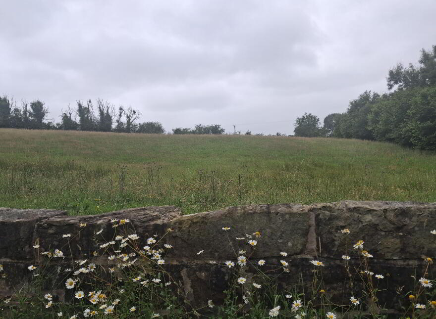 Stranafeley Road, Brookeborough, BT94 4HA