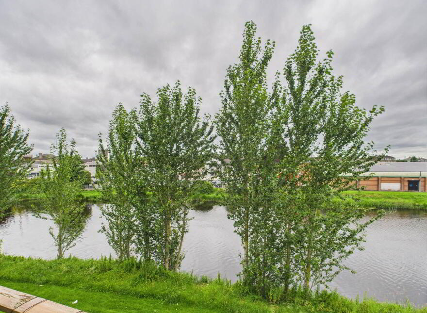 1 The Moate, Athy, R14YX28
