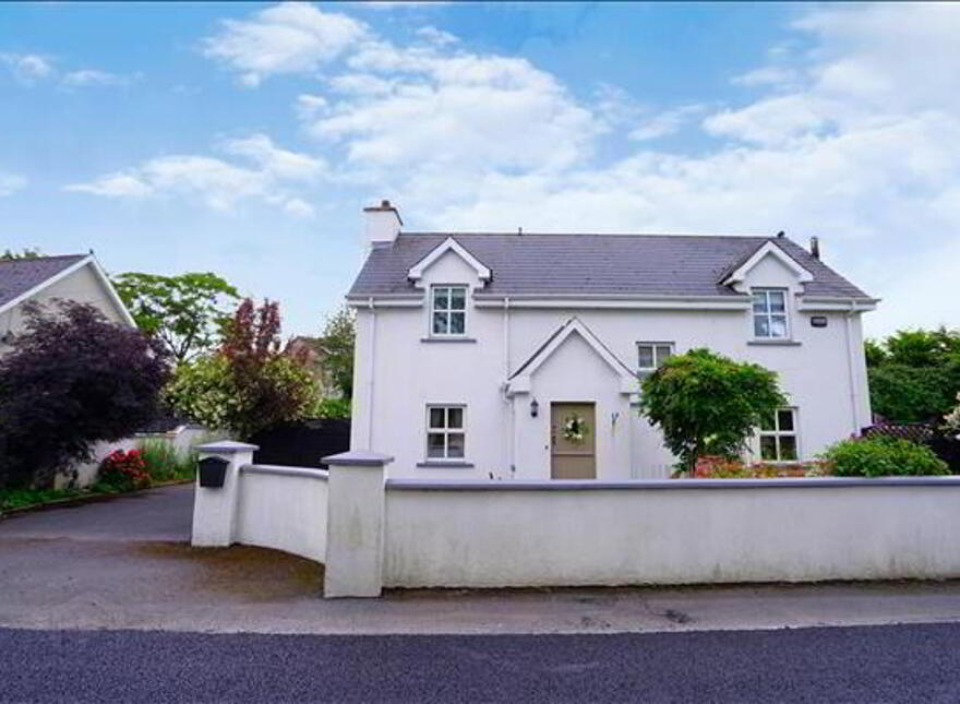New Road, Mooncoin photo