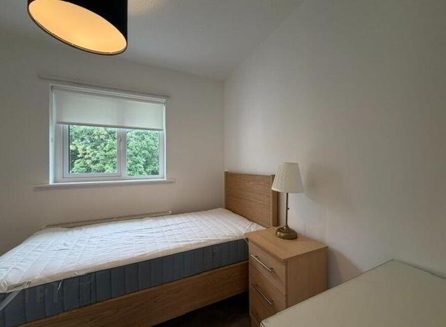 Roebuck Castle, Clonskeagh, Clonskeagh, D14XY64