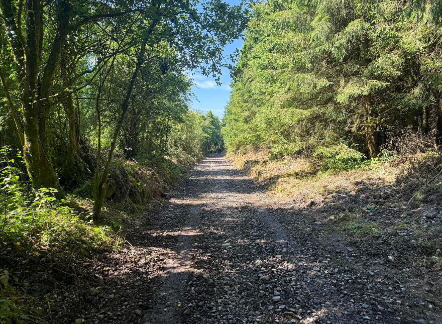 Drumroragh, Crosserlough