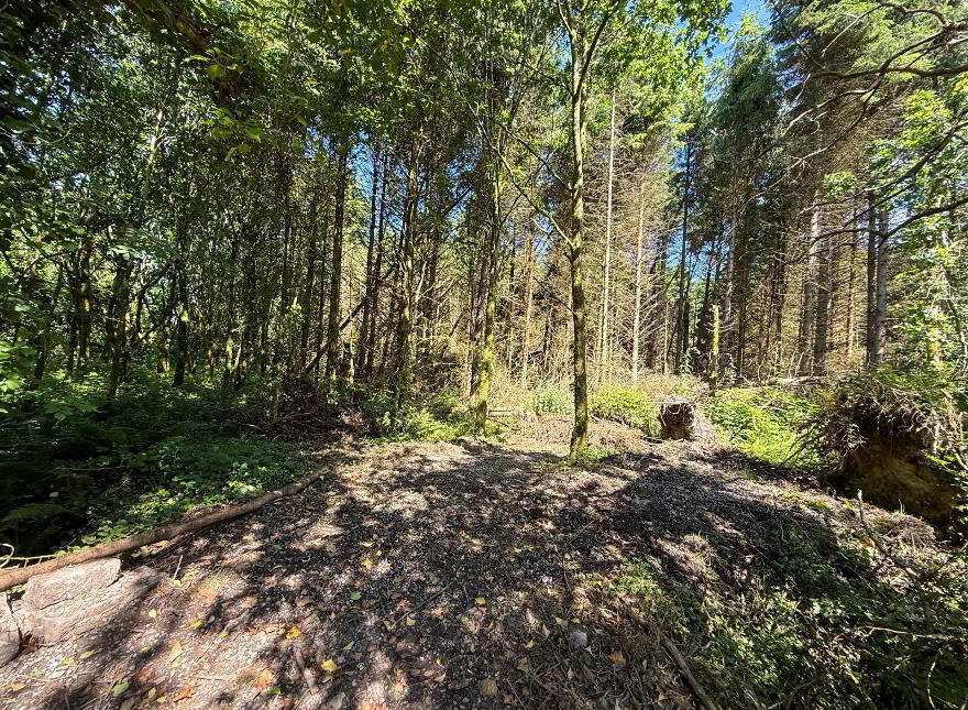 Drumroragh, Crosserlough