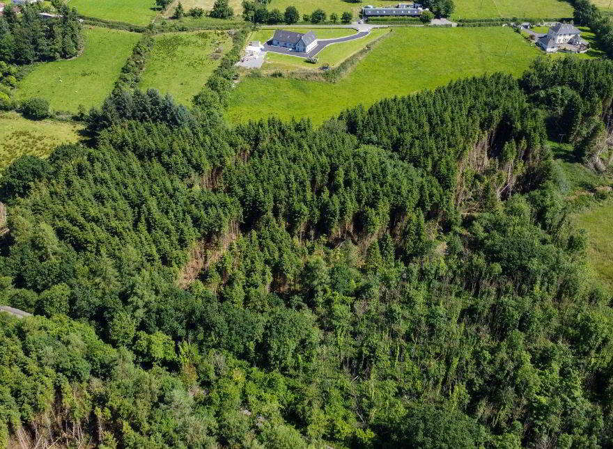 Drumroragh, Crosserlough