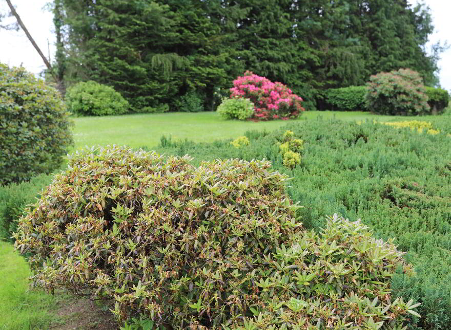 110 Ballynafie Road, Portglenone, BT44 8BW