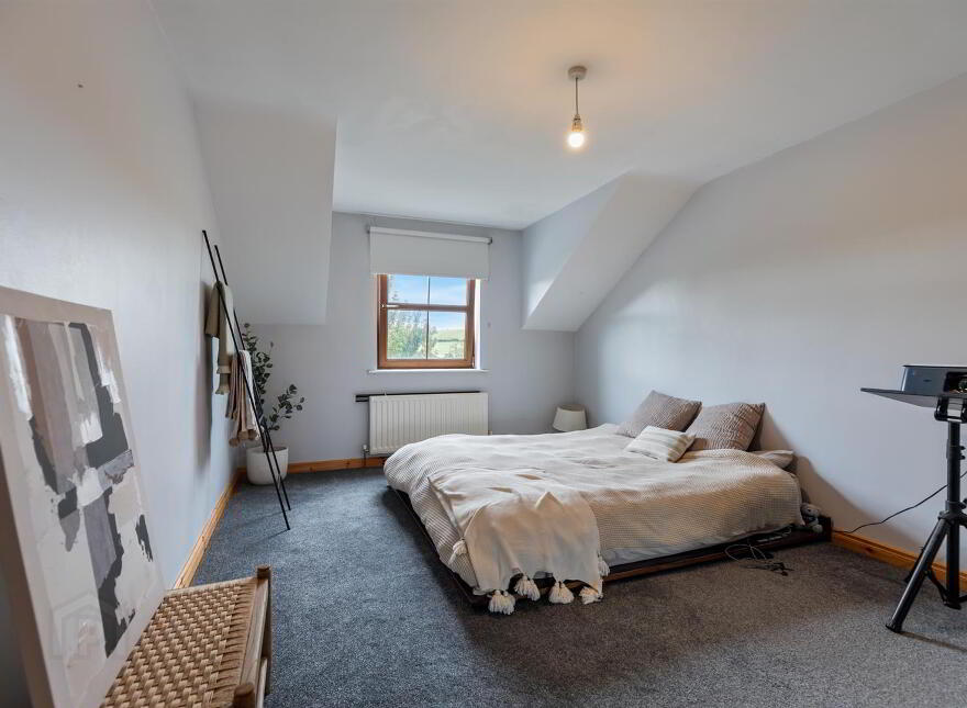 8 The Meadows, Crossgar, Downpatrick, BT30 9GT