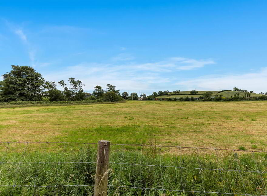 8 The Meadows, Crossgar, Downpatrick, BT30 9GT