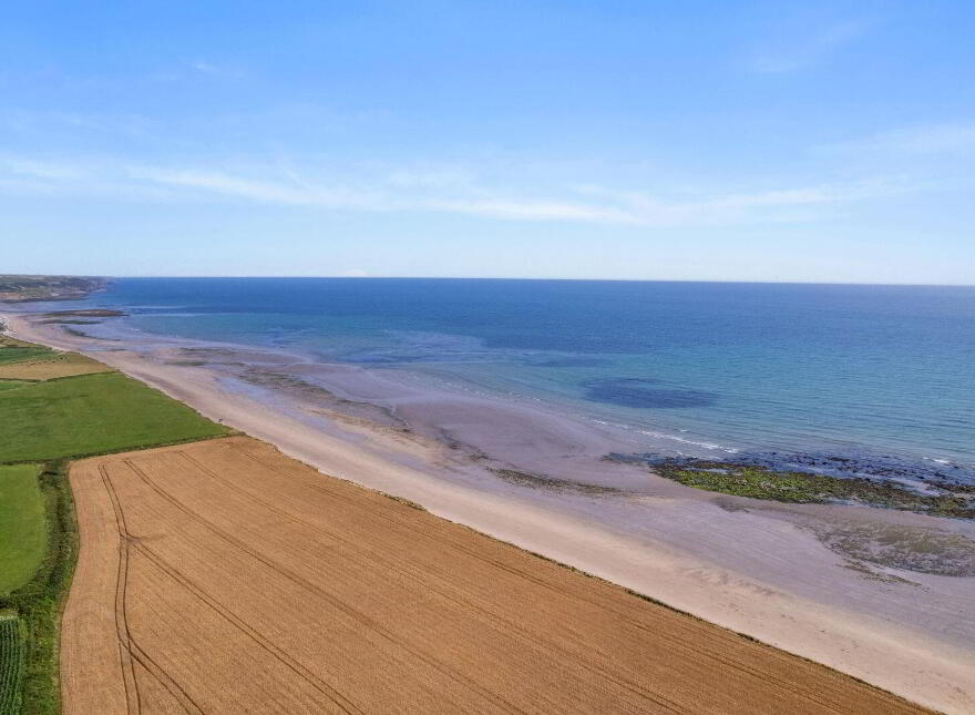 Moanroe, Garryvoe, P25E935