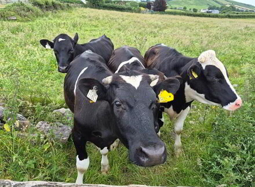 Farm Required photo