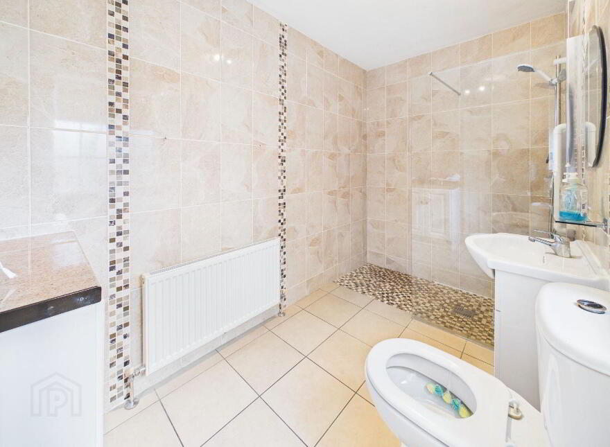 6 Henry Street, Graiguecullen, R93D261