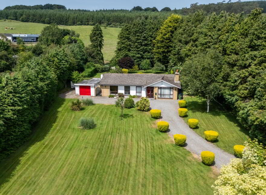 West, Winds, Tinode, Blessington, W91V8D4