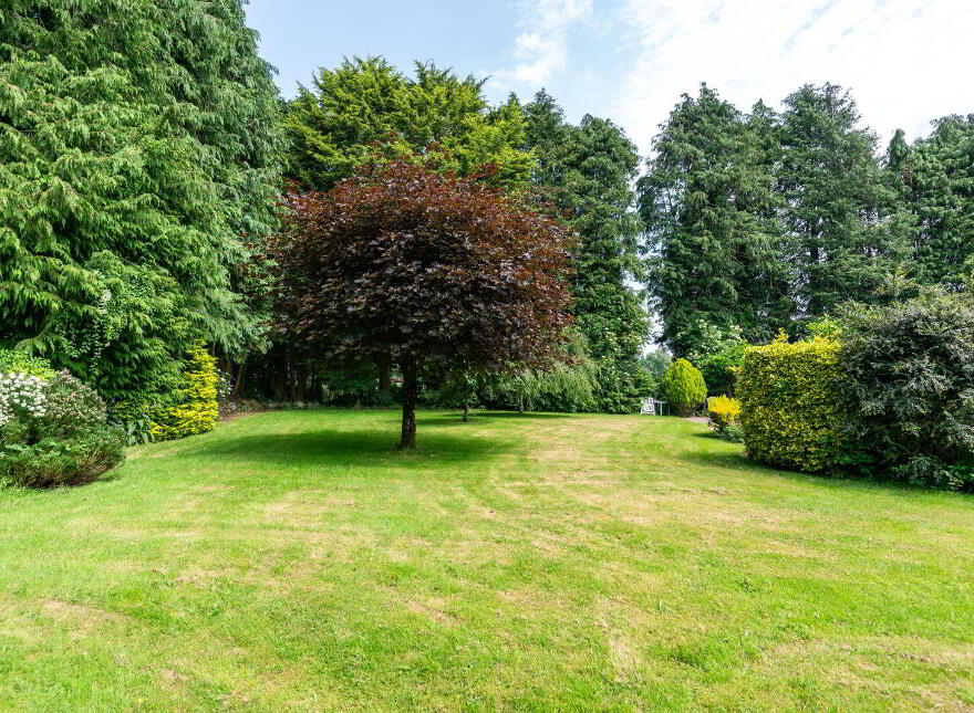 West, Winds, Tinode, Blessington, W91V8D4