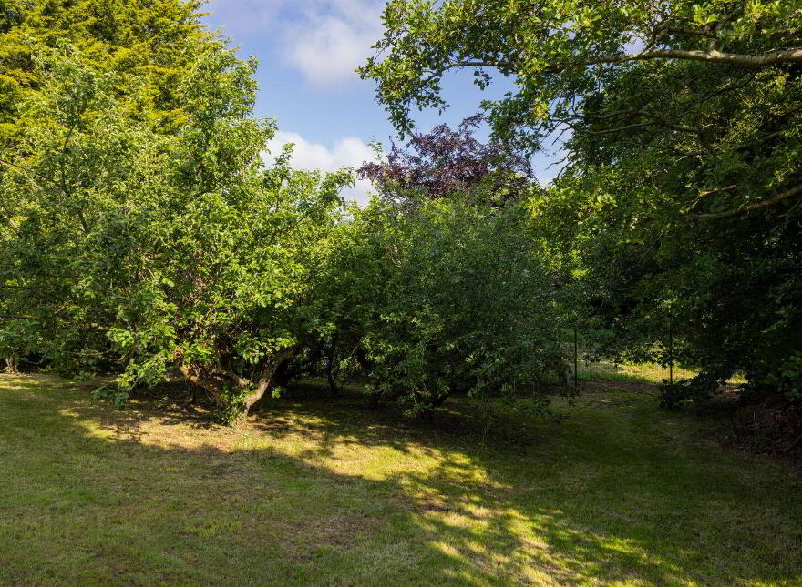 Killeek, Saint Margaret's, Swords, K67RH32