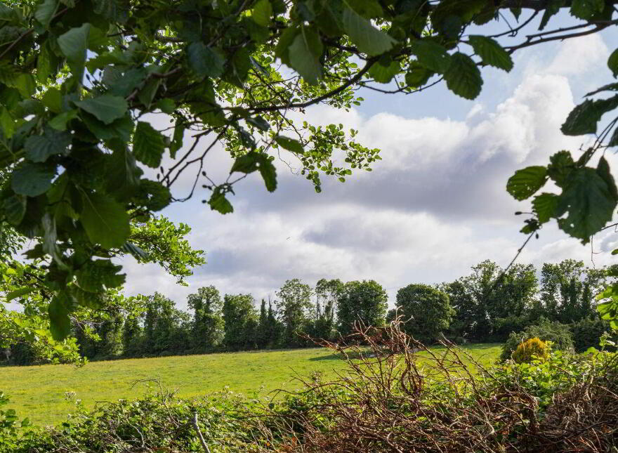 Killeek, Saint Margaret's, Swords, K67RH32