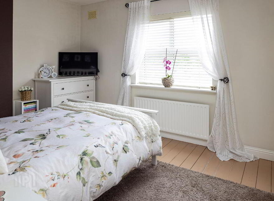 25 Boroimhe Cedars, Swords, K67R273