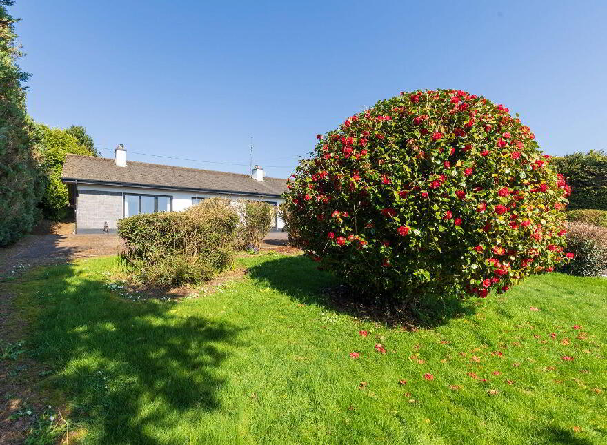 Carrigogna, Midleton, P25CV60