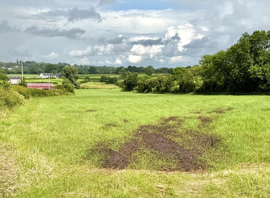 C. 5.5 Acres At, Eglish Road, Portadown, BT62 1NL