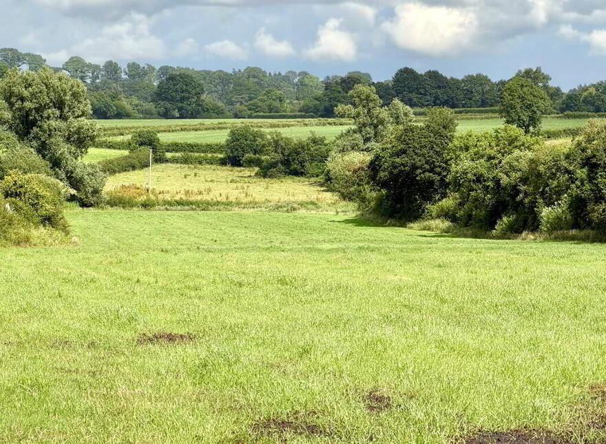 C. 5.5 Acres At, Eglish Road, Portadown, BT62 1NL
