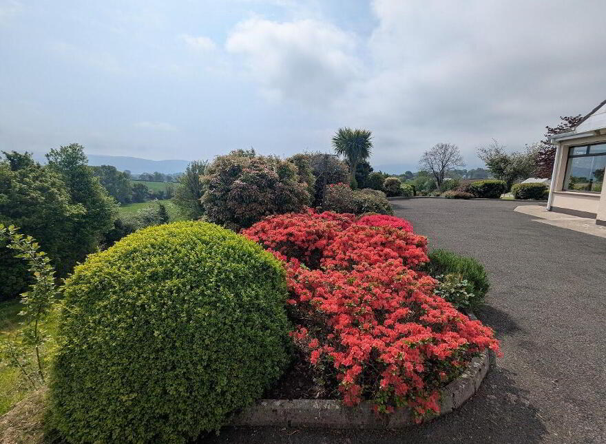 Ballybran, Ogonnelloe, Killaloe, V94ENN3
