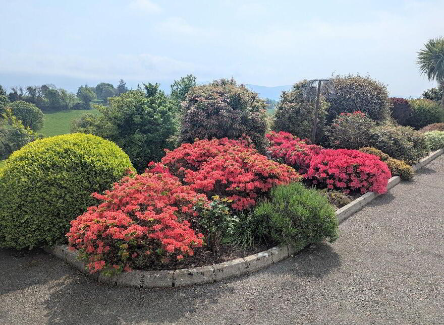 Ballybran, Ogonnelloe, Killaloe, V94ENN3