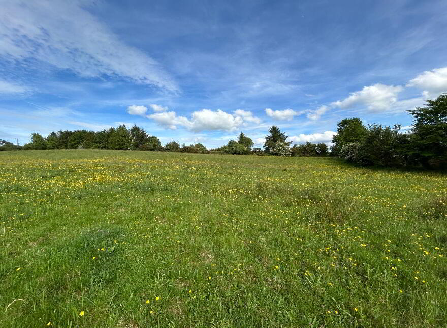 Site At, Ballycorrigan, Ballina