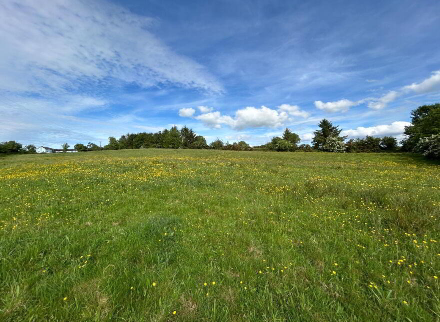 Site At, Ballycorrigan, Ballina