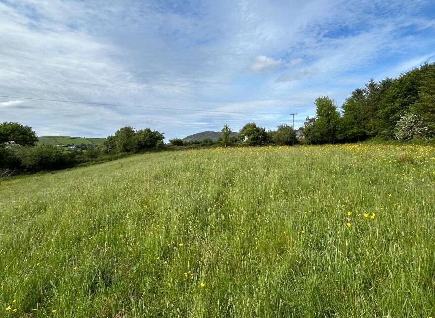 Site At, Ballycorrigan, Ballina
