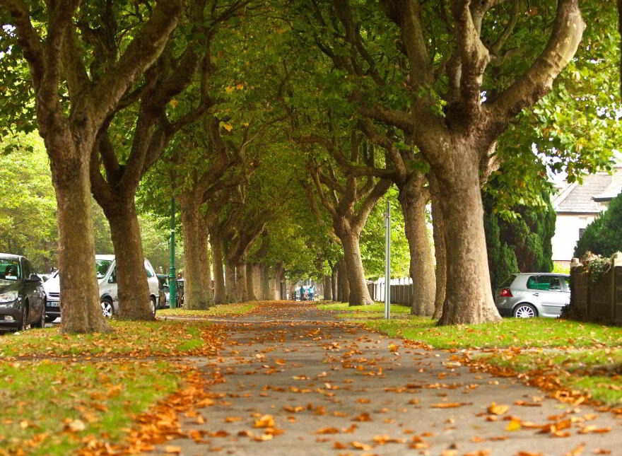 Apartment 38 Griffith Hall, Drumcondra, Drumcondra, D09C667